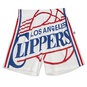 NBA BIG FACE BLOWN OUT FASHION SHORTS CHARLOTTE HORNETS  large image number 1