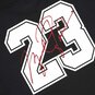 ESSENTIAL FLIGHT23 GRAPHIC T-SHIRT  large image number 4