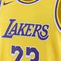 NBA LOS ANGELES LAKERS ICON SWINGMAN JERSEY ANTHONY DAVIS  large image number 6