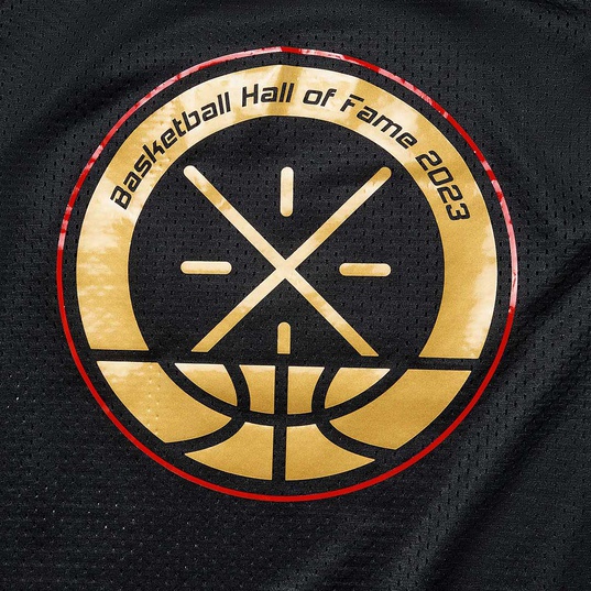 LiNing Way of Wade Hall of Fame 2023 Basketball Jersey – LiNing