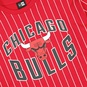 NBA CHICAGO BULLS PINSTRIPE STACK T-SHIRT  large image number 4