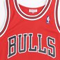 NBA SWINGMAN JERSEY CHICAGO BULLS RODMAN #91  large número de cuadro 3