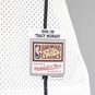 NBA SWINGMAN JERSEY TORONTO RAPTORS 95 - DAMON STOUDAMIRE  large image number 4