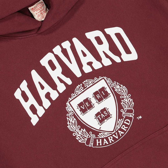 NCAA Harvard Authentic College Hoody  large image number 4