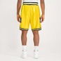 NCAA MICHIGAN WOLVERINES 1991 AUTHENTIC SHORTS  large image number 3
