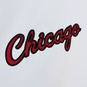 NBA CHICAGO BULLS HOMETOWN LIGHTWEIGHT SATIN JACKET  large Bildnummer 4