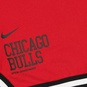 NBA CHICAGO BULLS SHORT DNA CTS 75  large número de imagen 4