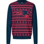 NFL New England Patriots Ugly Christmas Sweater  large numero dellimmagine {1}