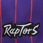 NBA TORONTO RAPTORS TEAM PINSTRIPE SNAPBACK CAP  large image number 3