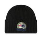 NFL NEW ENGLAND PATRIOTS BEANIE  large image number 1
