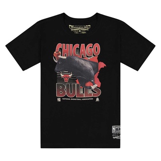NBA CHICAGO BULLS SCENIC T-Shirt