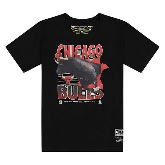 NBA CHICAGO BULLS SCENIC T-Shirt  large image number 1