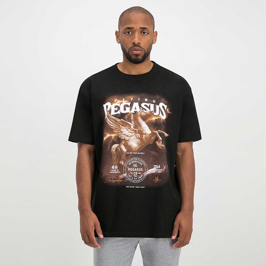 Pegasus Oversize T-Shirt  large Bildnummer 2