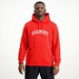 COLLEGE HOODY  large image number 2