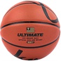 ultimate pro basketball  large image number 2