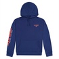 P/O POLO SPORT HOODY  large image number 1