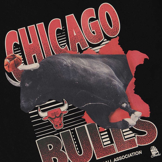 NBA CHICAGO BULLS SCENIC T-Shirt  large image number 4