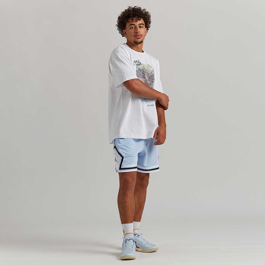 Jordan Men's Dri-Fit Sport Diamond Shorts, Large, Royal Tint