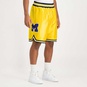 NCAA MICHIGAN WOLVERINES 1991 AUTHENTIC SHORTS  large image number 2