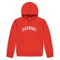 COLLEGE HOODY  large image number 1