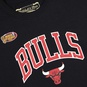 NBA CHICAGO BULLS ARCH T-SHIRT  large image number 4