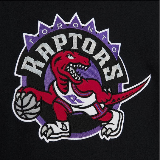 NBA TORONTO RAPTORS TEAM ORIGINS FLEECE HOODY  large image number 3