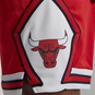 nike NBA SWINGMAN SHORT CHICAGO BULLS ICON 18 UNIVERSITY RED WHITE WHITE 4