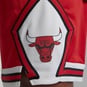 NBA CHICAGO BULLS DRI-FIT ICON SWINGMAN SHORTS  large image number 4