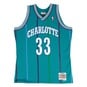 NBA SWINGMAN JERSEY CHARLOTTE HORNETS 94 - ALONZO MOURNING  large afbeeldingnummer 1