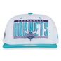 NBA RETRO TITLE 9FIFTY CHARLOTTE HORNETS  large image number 2