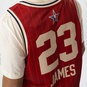 NBA ALL-STAR WEEKEND SWINGMAN JERSEY LEBRON JAMES  large numero dellimmagine {1}