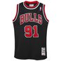 NBA CHICAGO BULLS 1997 SWINGMAN JERSEY DENNIS RODMAN KIDS  large image number 1