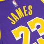 NBA SWINGMAN JERSEY LA LAKERS JAMES STATEMENT 20  large afbeeldingnummer 5