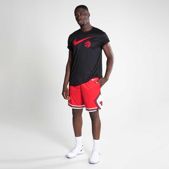 Chicago Bulls NBA Shorts Icon Edition