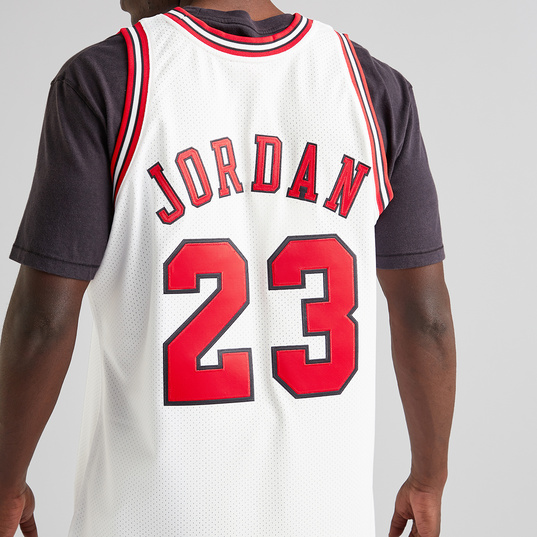 Chicago Bulls Michael Jordan 1995-96 Authentic Jersey 