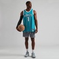 NBA CHARLOTTE HORNETS ICON SWINGMAN JERSEY LAMELO BALL  large numero dellimmagine {1}