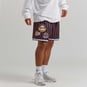 NBA LOS ANGELES LAKERS CITY COLLECTION MESH SHORTS  large numero dellimmagine {1}
