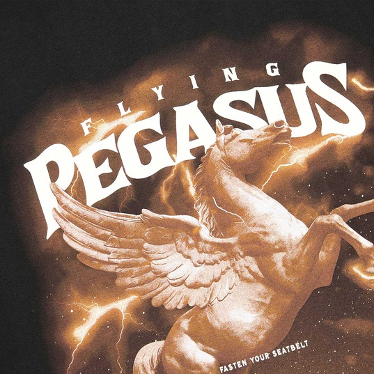Pegasus Oversize T-Shirt  large Bildnummer 4