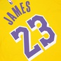 NBA N&N LA LAKERS LEBRON JAMES T-SHIRT  large image number 4