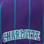 NBA CHARLOTTE HORNETS TEAM PINSTRIPE SNAPBACK CAP  large image number 3