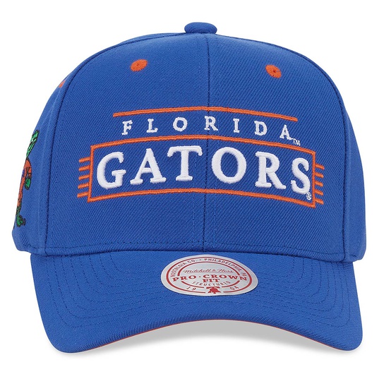 NCAA FLORIDA GATORS TEAM LOFI PRO SNAPBACK CAP  large numero dellimmagine {1}