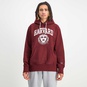 NCAA Harvard Authentic College Hoody  large image number 2