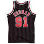 NBA CHICAGO BULLS 1995-96 ALTERNATE SWINGMAN JERSEY DENNIS RODMAN  large image number 2