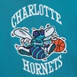 NBA CHARLOTTE HORNETS TEAM ORIGINS FLEECE HOODY  large Bildnummer 3