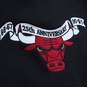 NBA CHICAGO BULLS ALL OVER CREW 3.0  large image number 3
