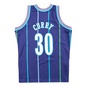 NBA SWINGMAN JERSEY CHARLOTTE HORNETS 94 - ALONZO MOURNING  large numero dellimmagine {1}