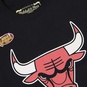 NBA CHICAGO BULLS Worn Logo Wordmark T-Shirt  large número de imagen 4