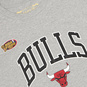 NBA CHICAGO BULLS ARCH T-SHIRT  large image number 4