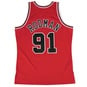 NBA CHICAGO BULLS 1997-98 SWINGMAN JERSEY DENNIS RODMAN  large image number 2