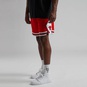 nike NBA SWINGMAN SHORT CHICAGO BULLS ICON 18 UNIVERSITY RED WHITE WHITE 3